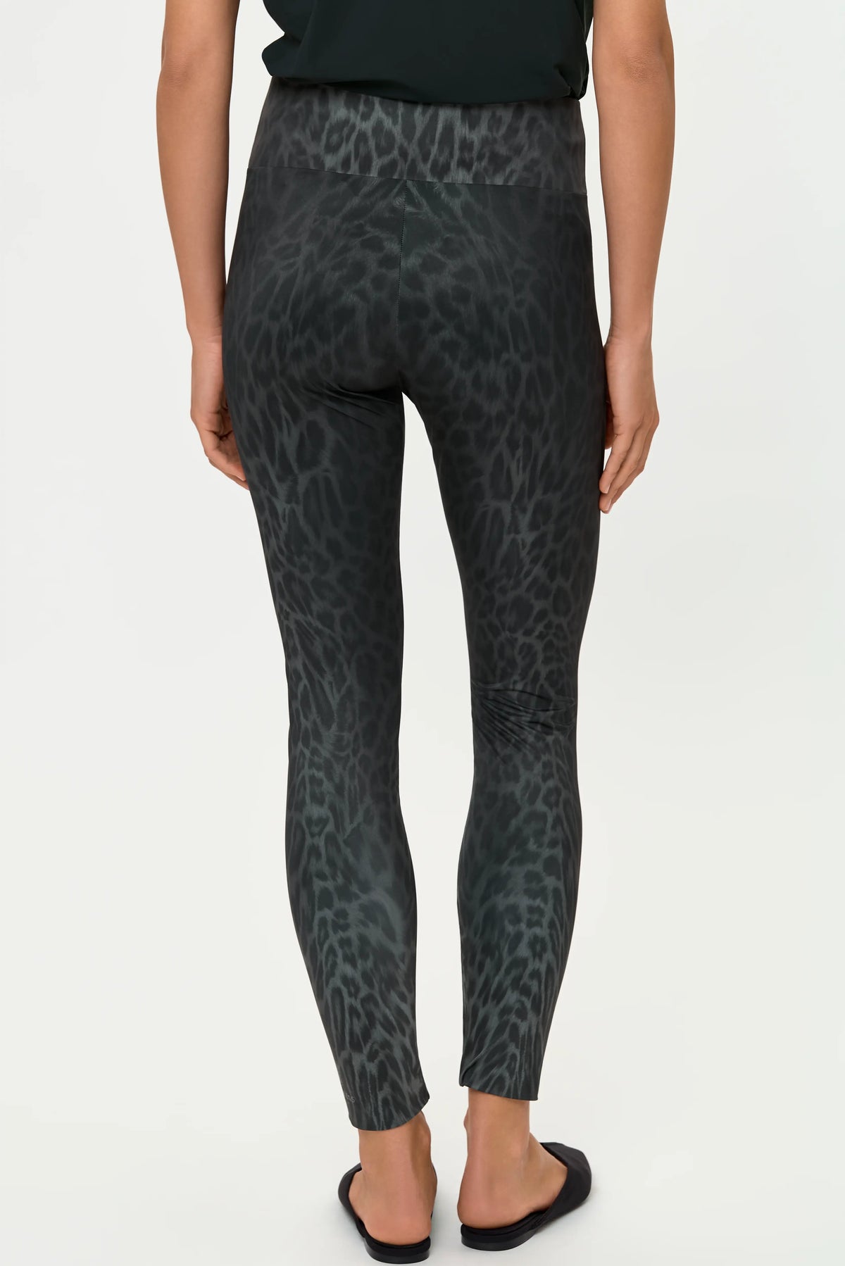LEOPARDI Print Pants diorit
